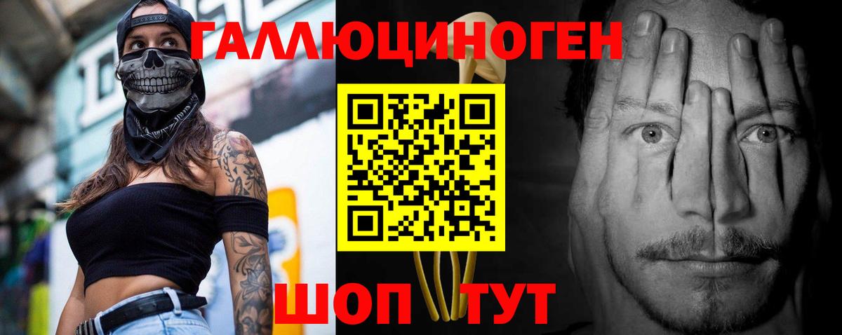 купить   Галлюциногенные грибы Psilocybine cubensis  Вход с VPN  Междуреченск 